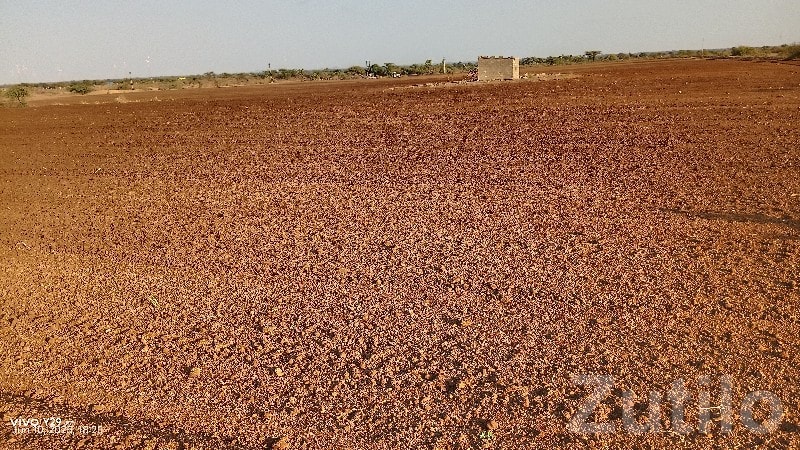 Agricultural Land in Sonvadiya Jamjodhpur - Land & Plots - Jamjodhpur - Image 2