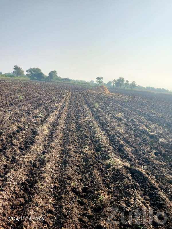 Fertile Agriculture Land in Rajkot