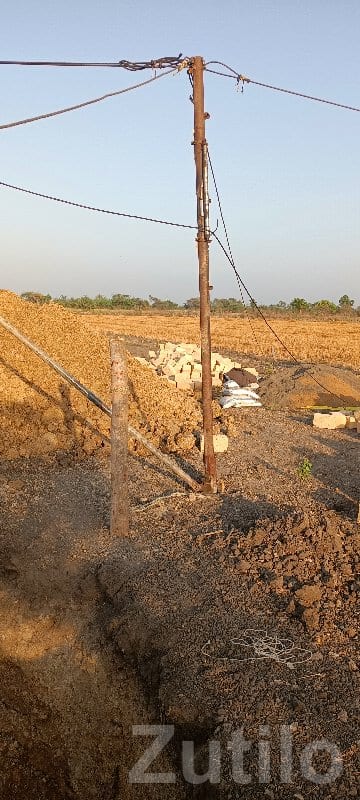 Agricultural Land Plot in Kodinar - જમીન અને પ્લોટ - કોડીનાર - Image 2