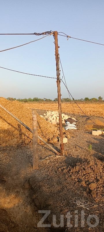 Agricultural Land Plot in Kodinar - જમીન અને પ્લોટ - કોડીનાર - Image 3