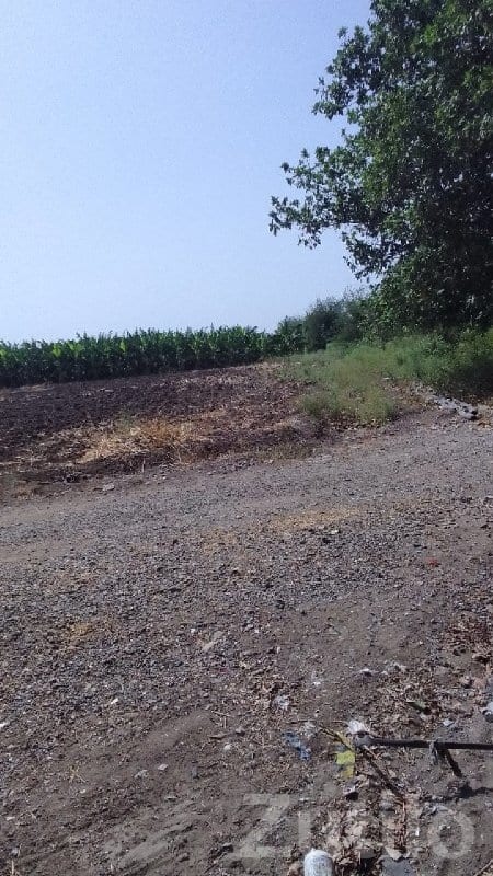 Fertile Agricultural Land for Sale