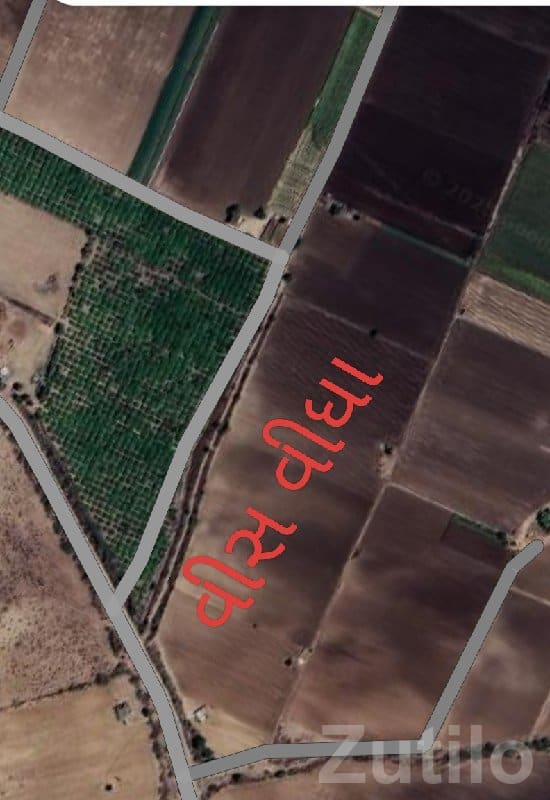 Pani Vari Vari Agricultural Land Rajkot