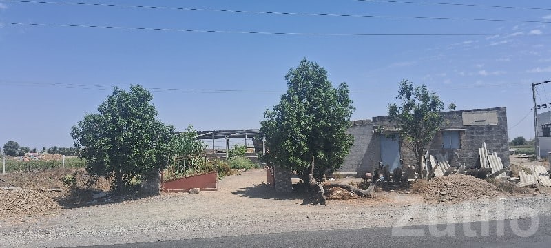 Road Touch Agricultural Plot in Upleta - Land & Plots - Upleta - Image 3