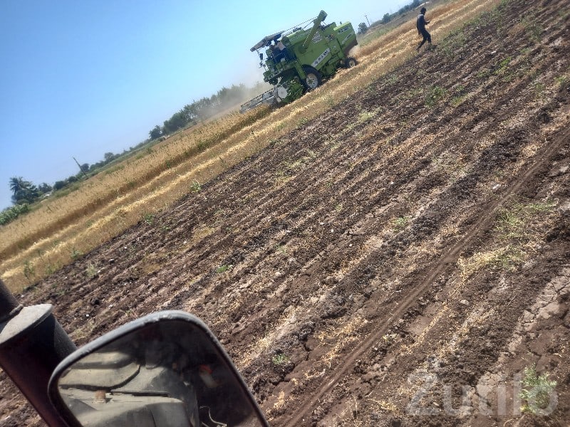 10 Bigha Fertile Agricultural Land Sale
