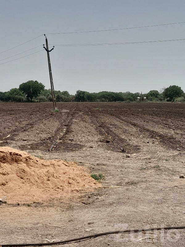 23.5 Vigha Fertile Farm Land with Well - જમીન અને પ્લોટ - વડોદરા શહેર - Image 3