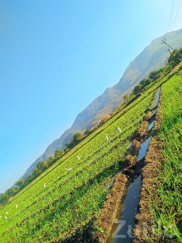 Fertile Agricultural Land Near Hills