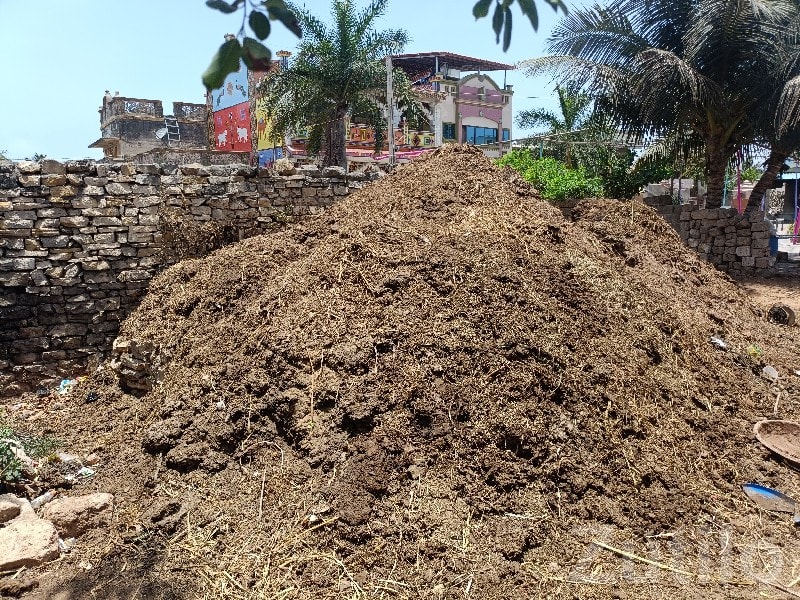 Organic Cow Manure Fertilizer Bulk Sale Organic Cow Manure Fertilizer Bulk Sale