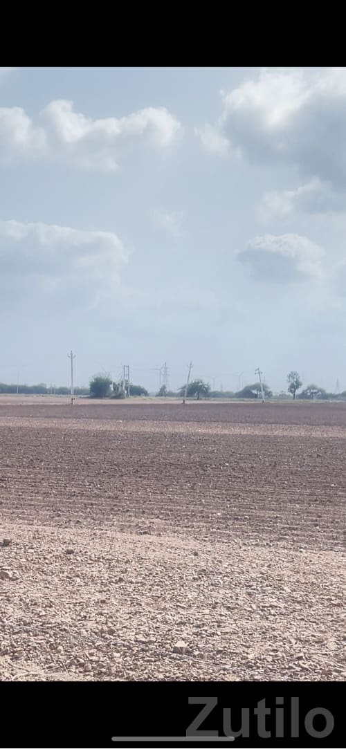 28 Vigha Road Touch Fertile Agriculture Land