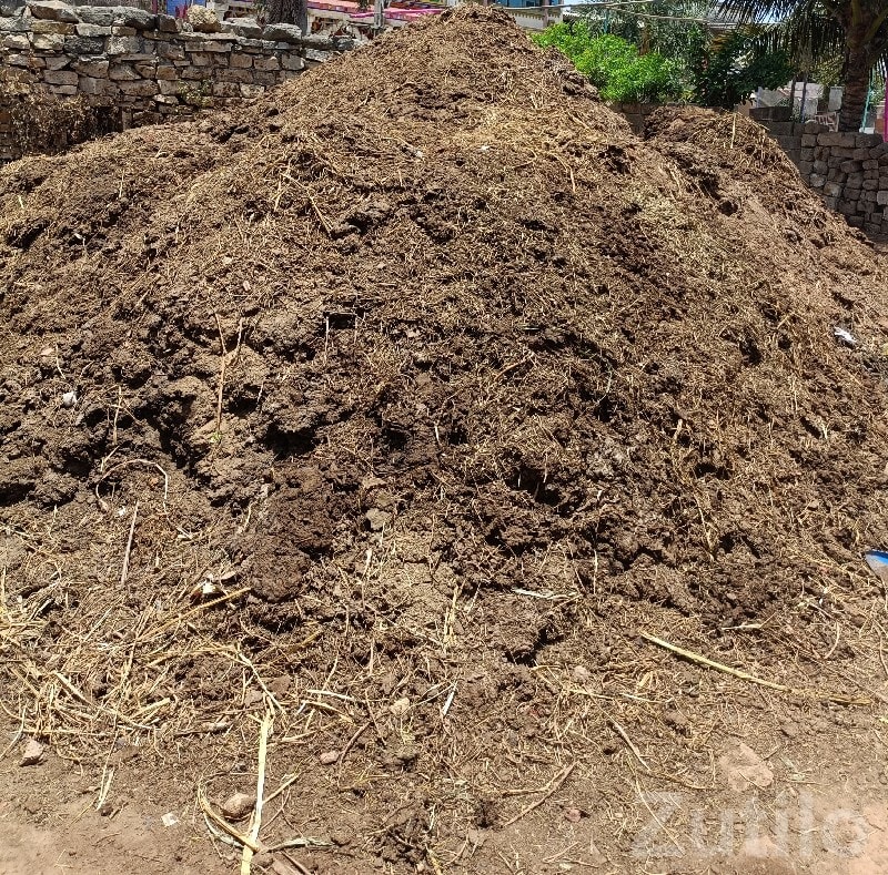 Organic Cow Manure Fertilizer Bulk Sale - Land & Plots - Chhaya - Image 2