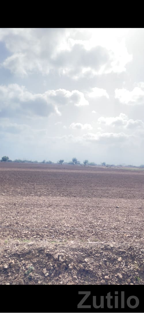 28 Vigha Road Touch Fertile Agriculture Land - જમીન અને પ્લોટ - ખંભાળિયા - Image 2
