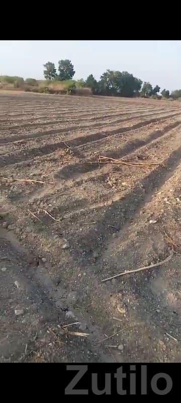 17 Vigha Farm Land with Well Connection 17 Vigha Farm Land with Well Connection