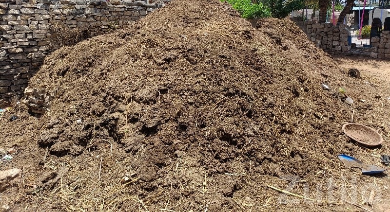 Organic Cow Manure Fertilizer Bulk Sale - Land & Plots - Chhaya - Image 3