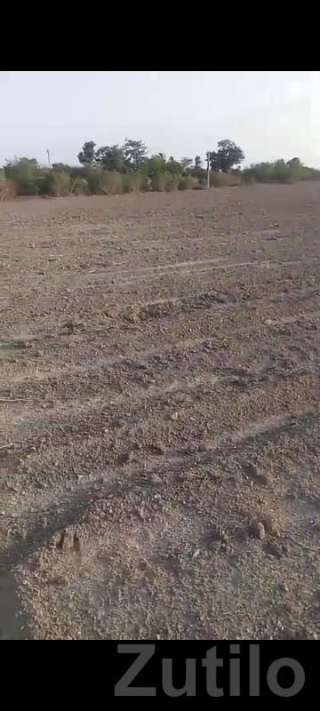 17 Vigha Farm Land with Well Connection - Land & Plots - Khambha - Image 2