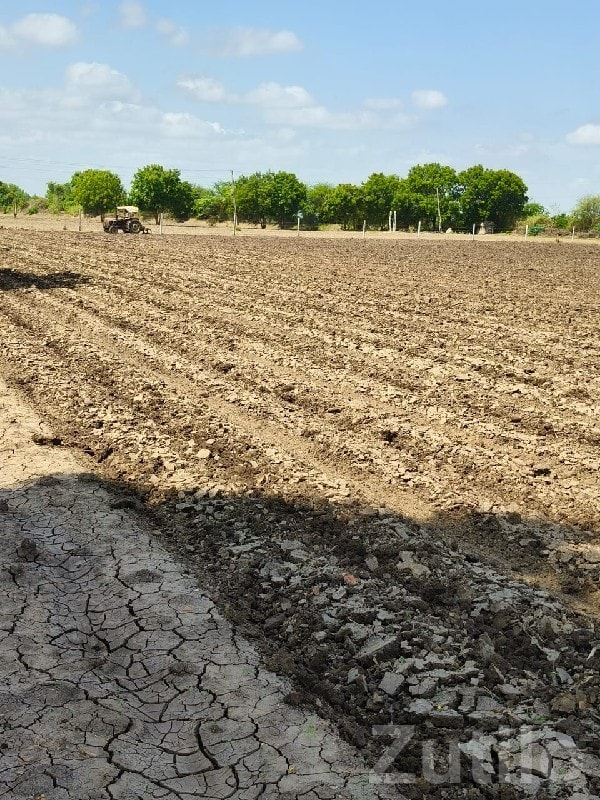 Bhánvad Road Fertile Agriculture Plot