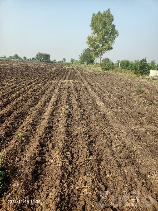 Fertile Agricultural Land in Rajkot