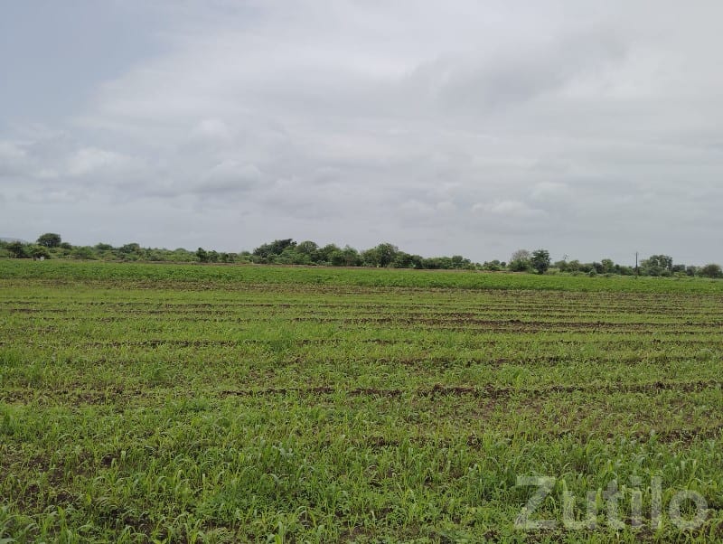 Green Fertile Agricultural Land Rajkot