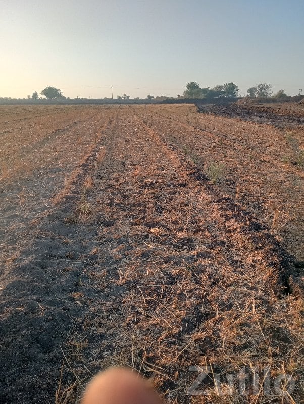 Navada Residential Land Plot Talala - Land & Plots - Talala - Image 3
