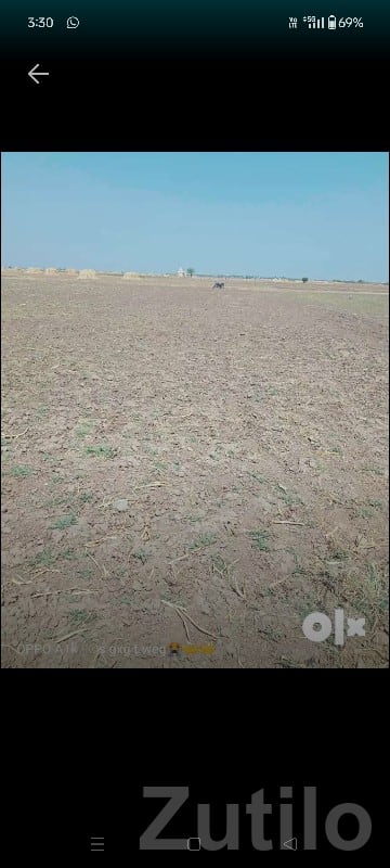 5 Vigha Agricultural Land Kutiyana - Land & Plots - Kutiyana - Image 2