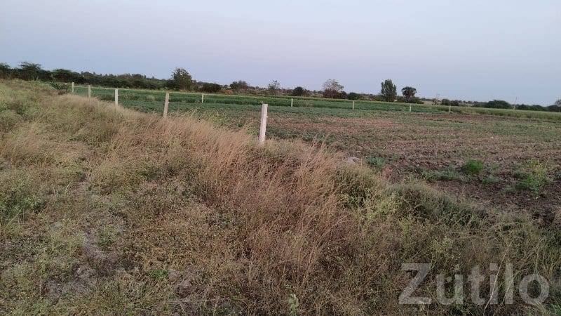 Kalyanpur Agricultural Land for Sale - Land & Plots - Kalyanpur - Image 2