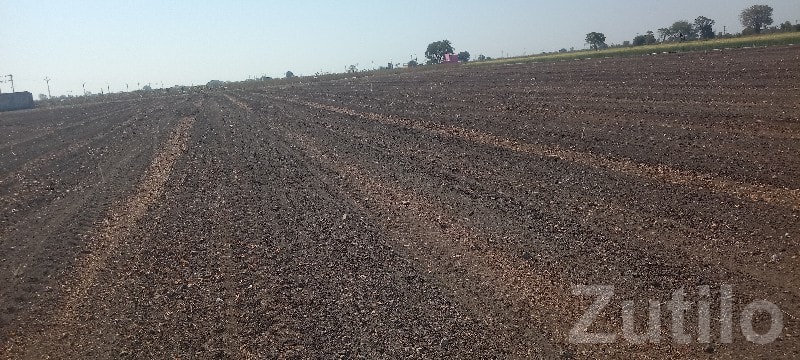 14.5 Vigha Agriculture Land Manavadar - Land & Plots - Manavadar - Image 2