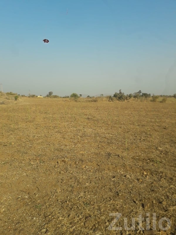Dalakhaniya Open Agricultural Plot Dalakhaniya Open Agricultural Plot