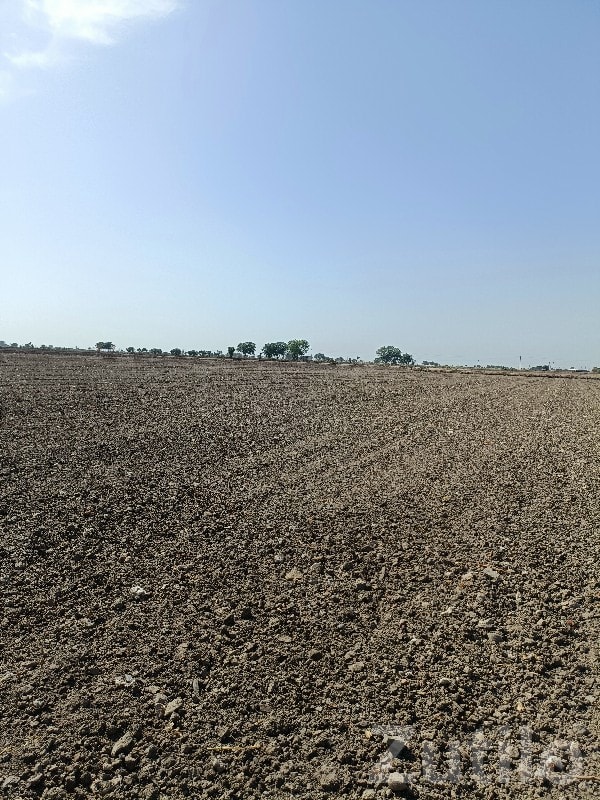 14.5 Vigha Open Agricultural Land 14.5 Vigha Open Agricultural Land