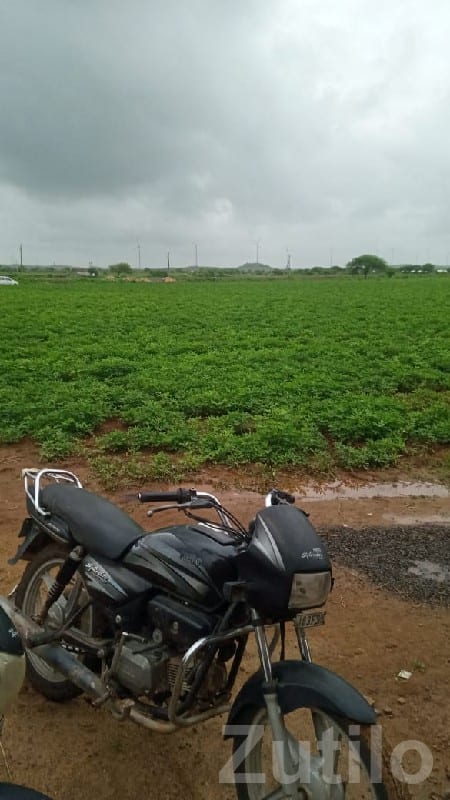 Green Fertile Agriculture Land Plot Sale