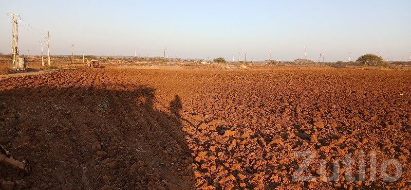 Green Fertile Agriculture Land Plot Sale - Land & Plots - Jamjodhpur - Image 3