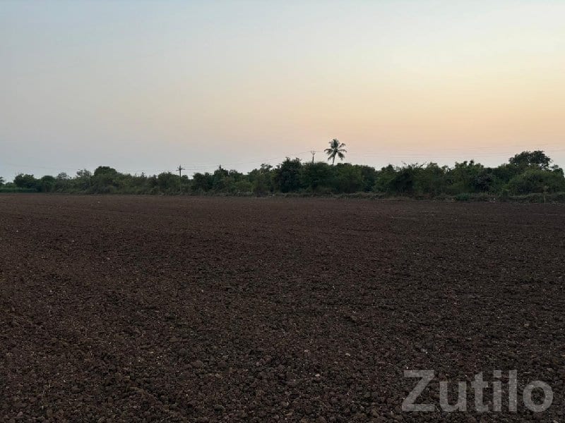 Kodinar 41 Gutha Fertile Farm Land Plot - Land & Plots - Kodinar - Image 2