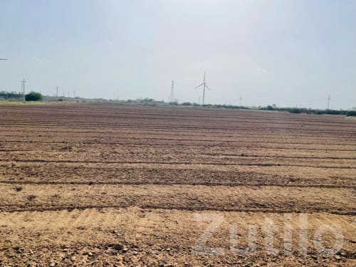 12 Vigha Irrigated Farmland for Sale