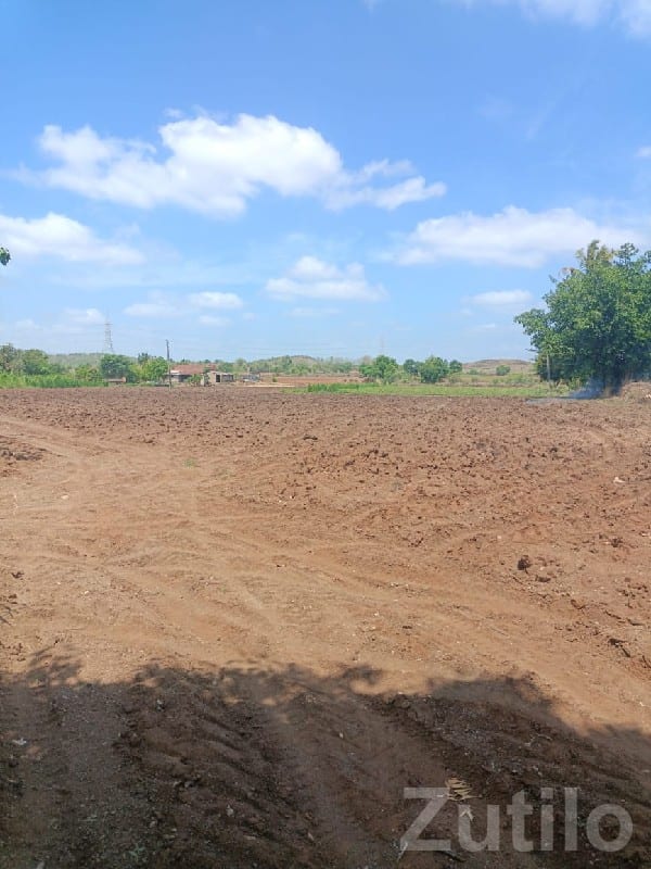 25 વિઘા ખેતી જમીન પ્લોટ વેચાણ માટે - Land & Plots - Mendarda - Image 2