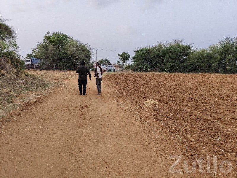 Rapar Roadside Farm Plot for Sale Rapar Roadside Farm Plot for Sale