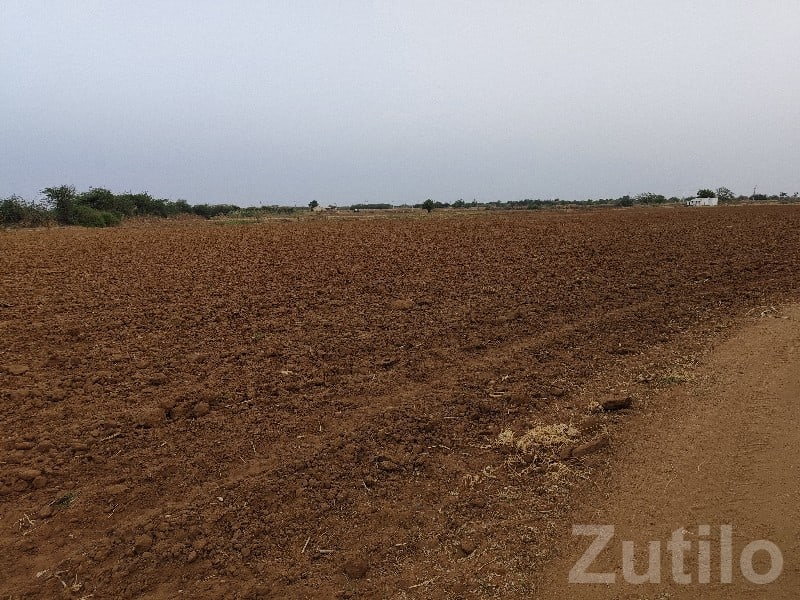 Rapar Roadside Farm Plot for Sale - જમીન અને પ્લોટ - રાપર - Image 3
