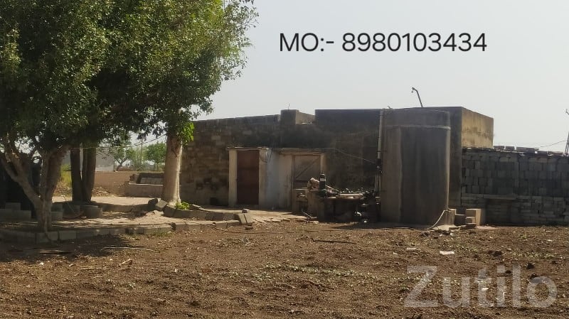 29 Vigha Fertile Agriculture Land Gondal - Land & Plots - Gondal - Image 2