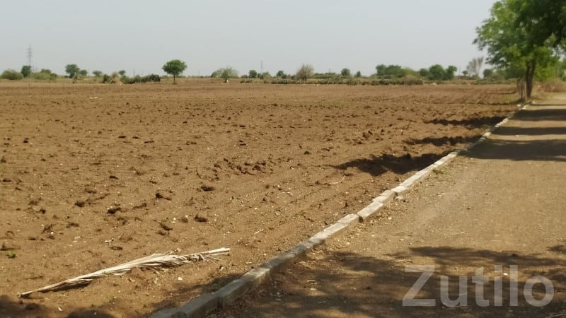 29 Vigha Fertile Agriculture Land Gondal - Land & Plots - Gondal - Image 3