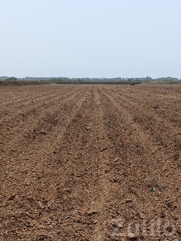 Fertile Agricultural Land Wanted