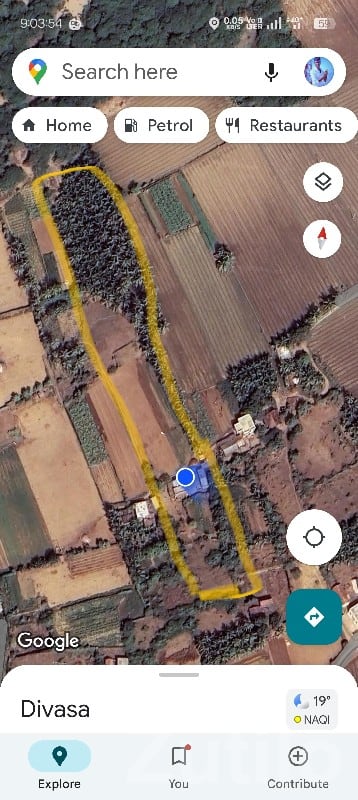 Mangrol Fertile Agriculture Land Plot Mangrol Fertile Agriculture Land Plot