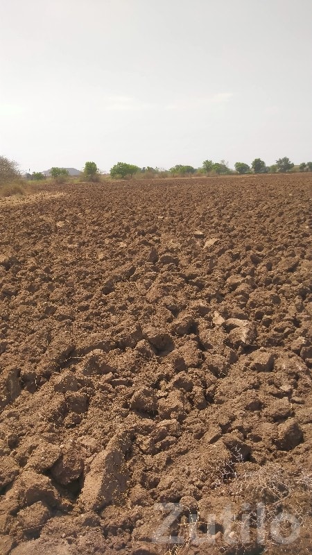 Fertile Agricultural Land for Sale - Land & Plots - Visavadar - Image 2