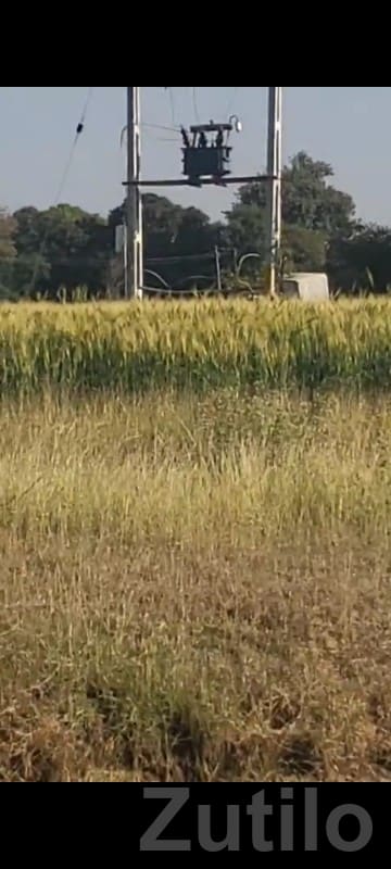 Fertile Agricultural Land in Talala Fertile Agricultural Land in Talala