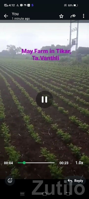 Fertile Agricultural Land in Talala - Land & Plots - Talala - Image 2