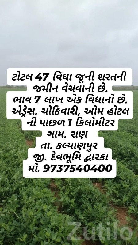 Fertile Bauxite Farmland Plot Kalyanpur