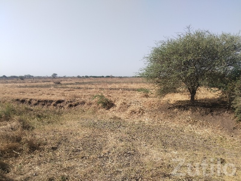 43 Vigha Agricultural Land for Sale