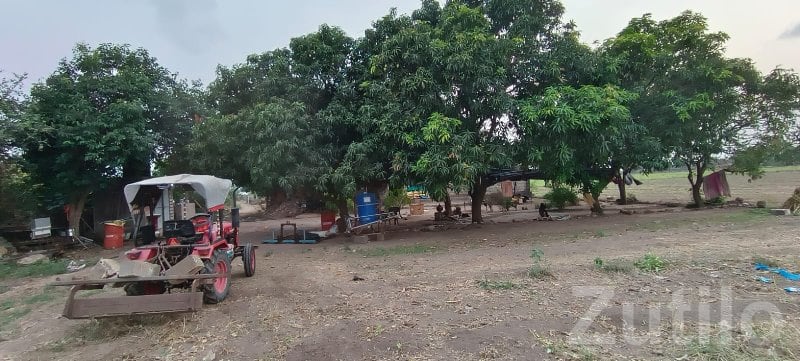18 Bigha Fertile Agricultural Land Sale - Land & Plots - Kutiyana - Image 2
