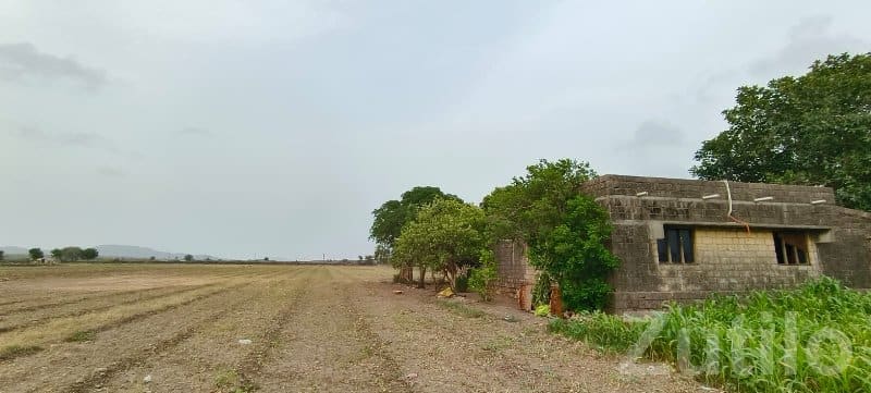 18 Bigha Fertile Agricultural Land Sale - Land & Plots - Kutiyana - Image 3