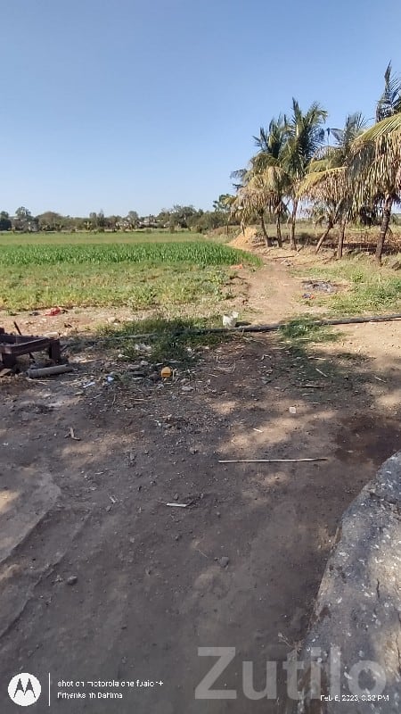 Talala Fertile Agricultural Land Plot - Land & Plots - Talala - Image 2