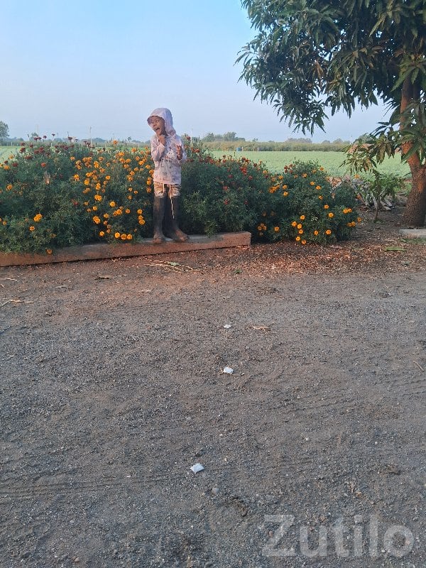Talala Agricultural Land with Garden View Talala Agricultural Land with Garden View