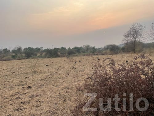 7 Bigha Agricultural Land Songadh - Land & Plots - Songadh - Image 2