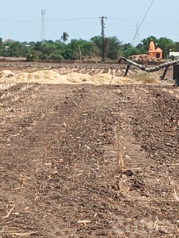Fertile Open Agricultural Land Khambhalia - Land & Plots - Khambhalia - Image 2