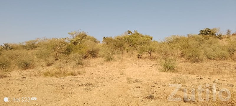 28 Vigha Open Land in Junisar, Jamjodhpur