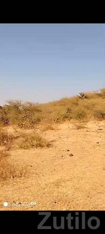 28 Vigha Open Land in Junisar, Jamjodhpur - Land & Plots - Jamjodhpur - Image 2